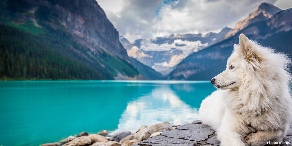Lake Louise, Alberta | Photo: Jf Brou, Unsplash