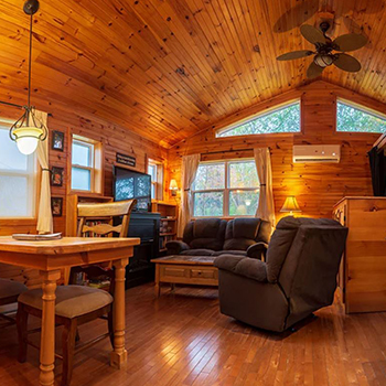 By d'Bay Cabins, Port Blandford, NL