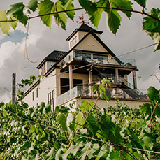 Magnetic Hill Winery and B&B, Moncton, New Brunswick