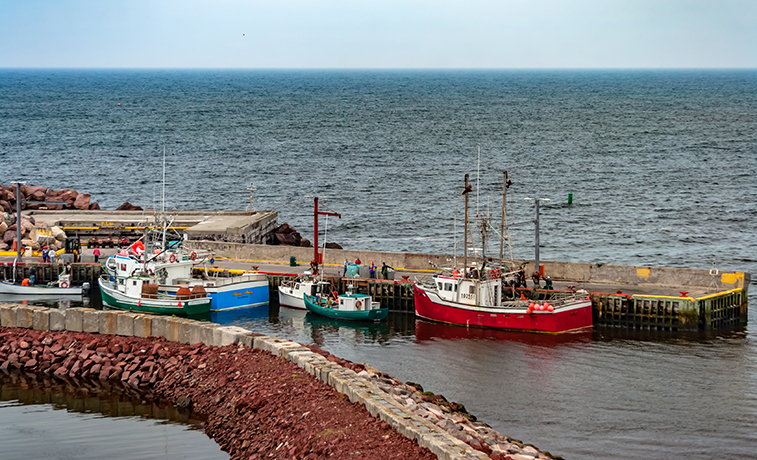 Placentia Harbour, NL, photo by Michel Rathwell, Wikimedia Commons