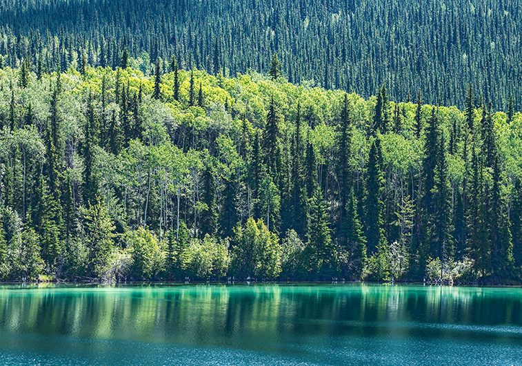 Northern BC | Photo: Bill Pennell, Unsplash