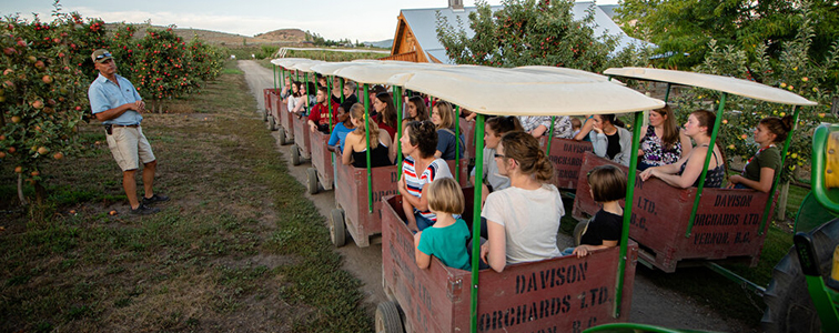 Photo: Davison Orchards