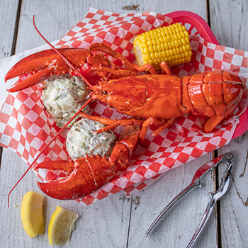 Lobster at the South Shore Fish Shack, Lunenburg, NS