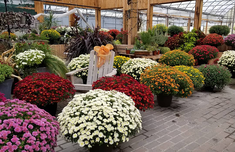 Jasperson's Greenhouse & Landscape, Stonewall, MB