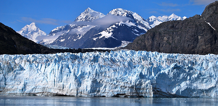 Photo: Eric E Castro, Wikimedia Commons