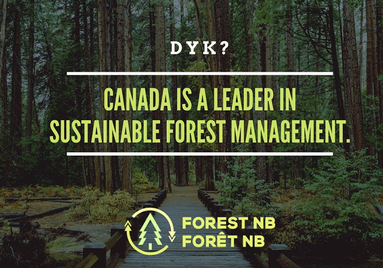 Forest NB is based in Fredericton, NB