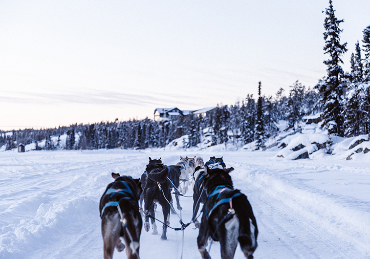 Dog sledding in Yellowknife, NT | Photo: Priscilla Du Preez, Unsplash