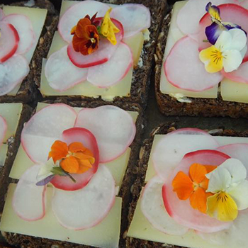 Arctic Sustainable Harvesting, Yellowknife, NT