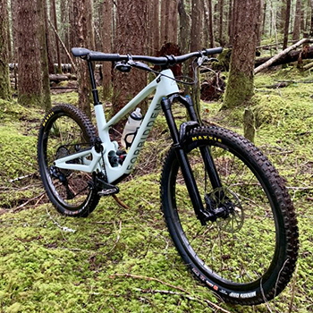 Black's Cycle, Comox, BC (The Druid by Forbidden Bike Company)
