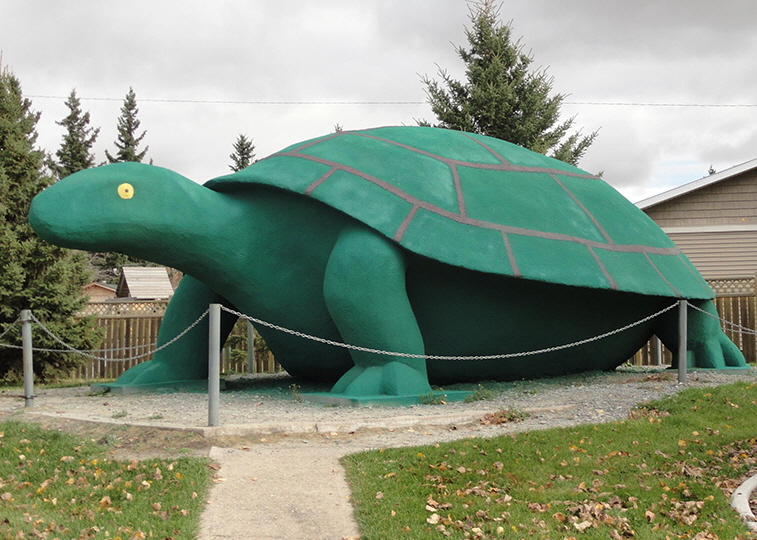 Ernie the Turtle in Turtleford, SK