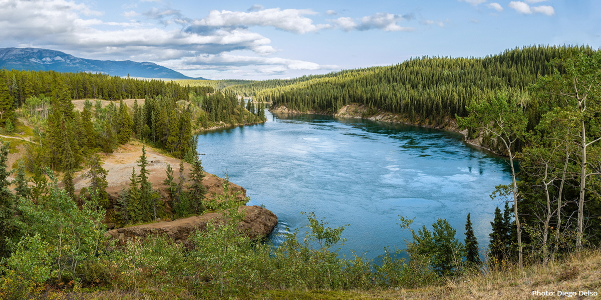 Yukon River at Schwatka Lake and the entry to Miles Canyon, near Whitehorse, Yukon | Photo: Diego Delso, Wikimedia Commons Yukon River at Schwatka Lake and the entry to Miles Canyon, near Whitehorse, Yukon | Photo: Diego Delso, Wikimedia Commons